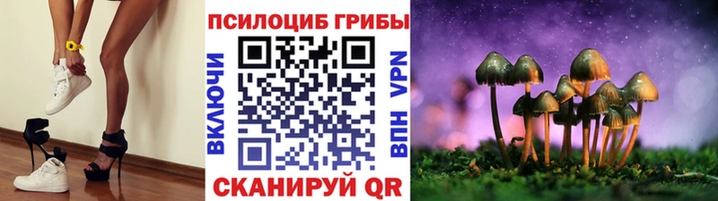 Псилоцибиновые грибы мицелий  Купить  Заозёрск 